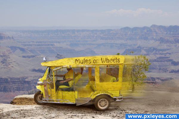 Mules_On_Wheels